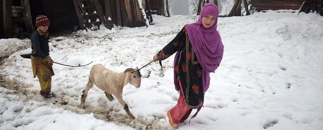 winter in Kashmir winter in Kashmir