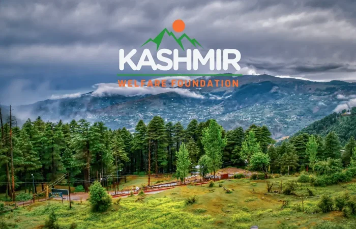 GIVING-YOUR-ZAKAT-6-2