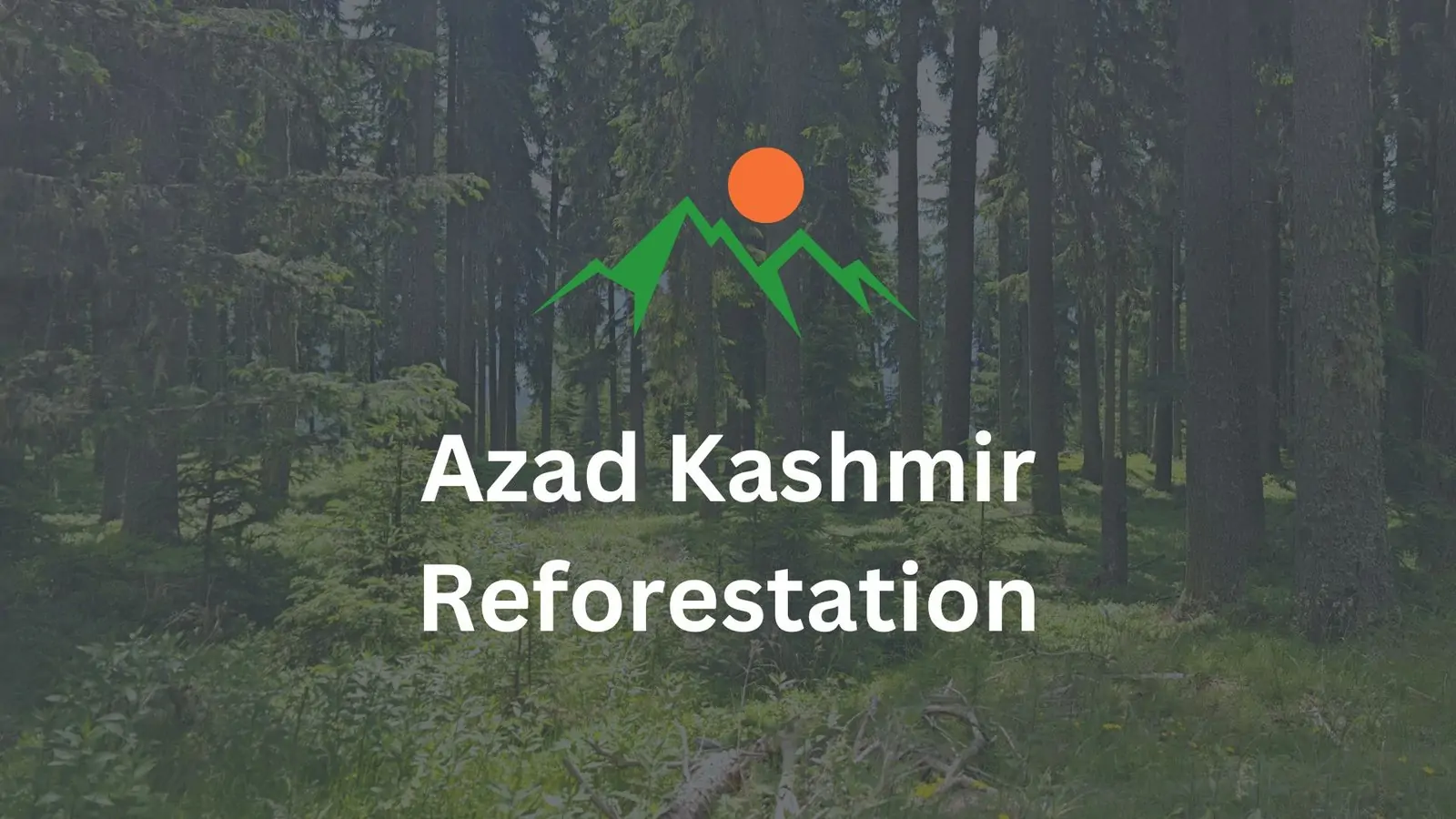 Kashmir-Welfare-Blog-Picture-2-2-1
