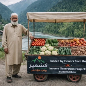 Income Projects