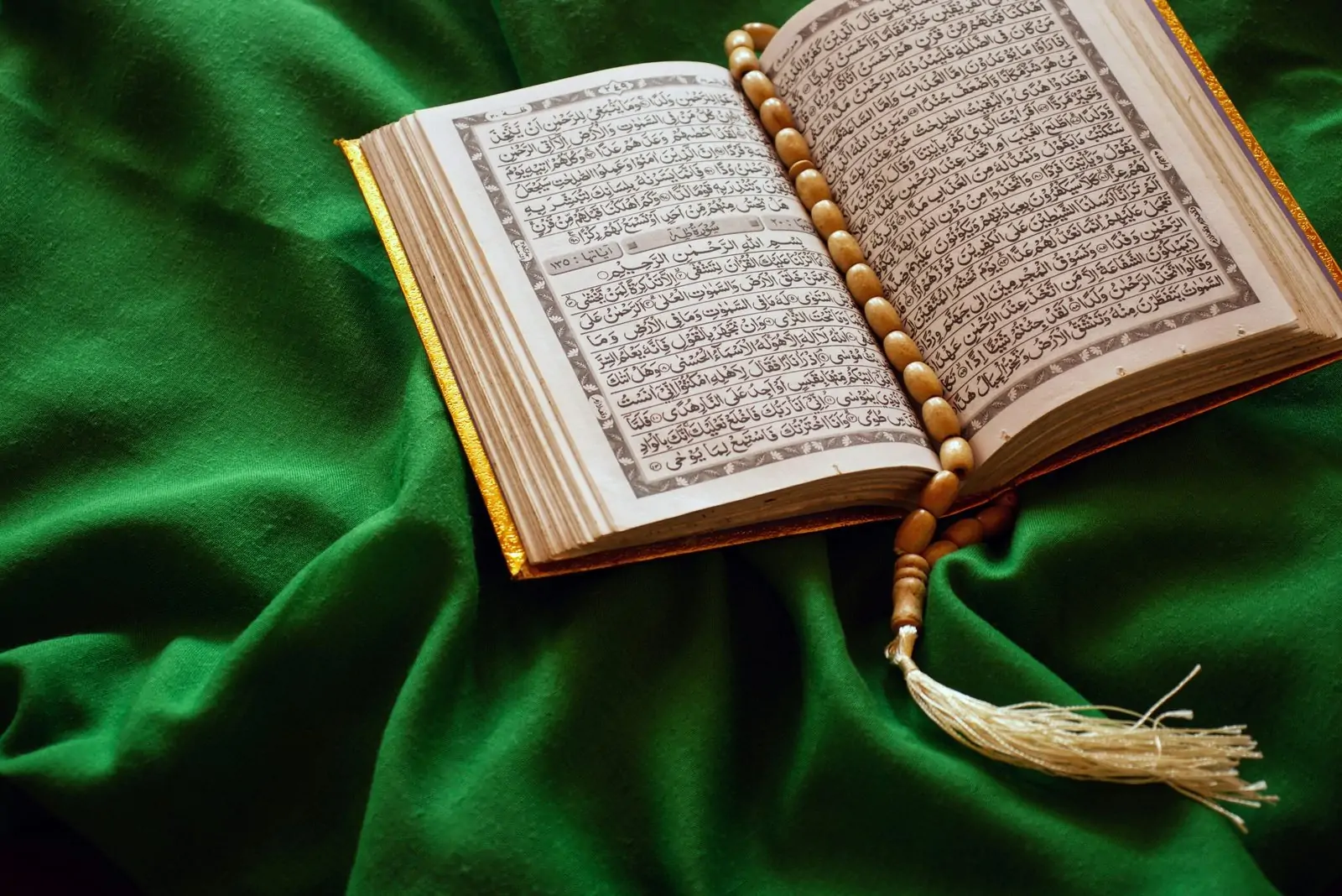 white-book-page-on-green-textile-scaled-1